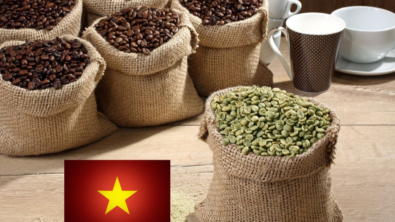 639208255926500165_vietnam green coffee beans 4.jpg